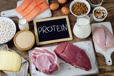 List of Protein Sources