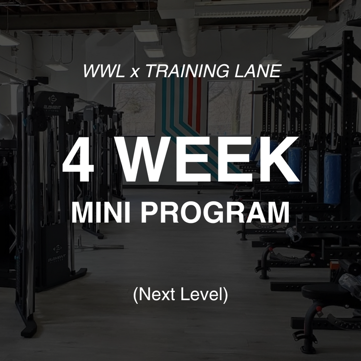 4 Week Mini Class- Toronto