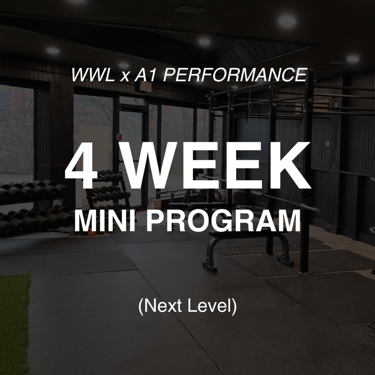4 Week Mini Class- Hamilton