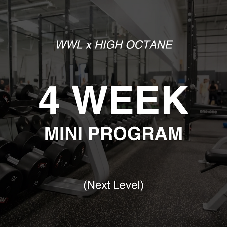 4 Week Mini Class- Bev Sauga