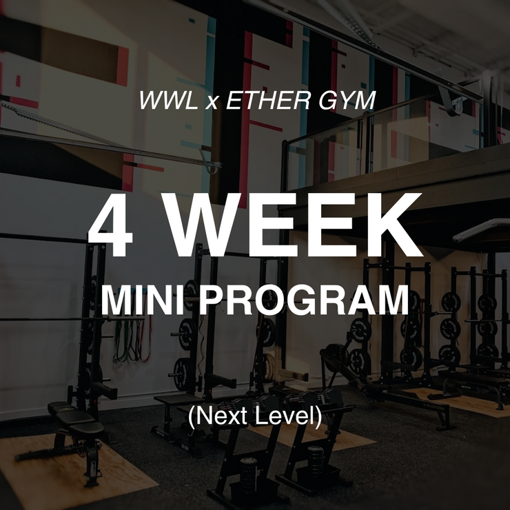 4 Week Mini Class- Bev Etobicoke