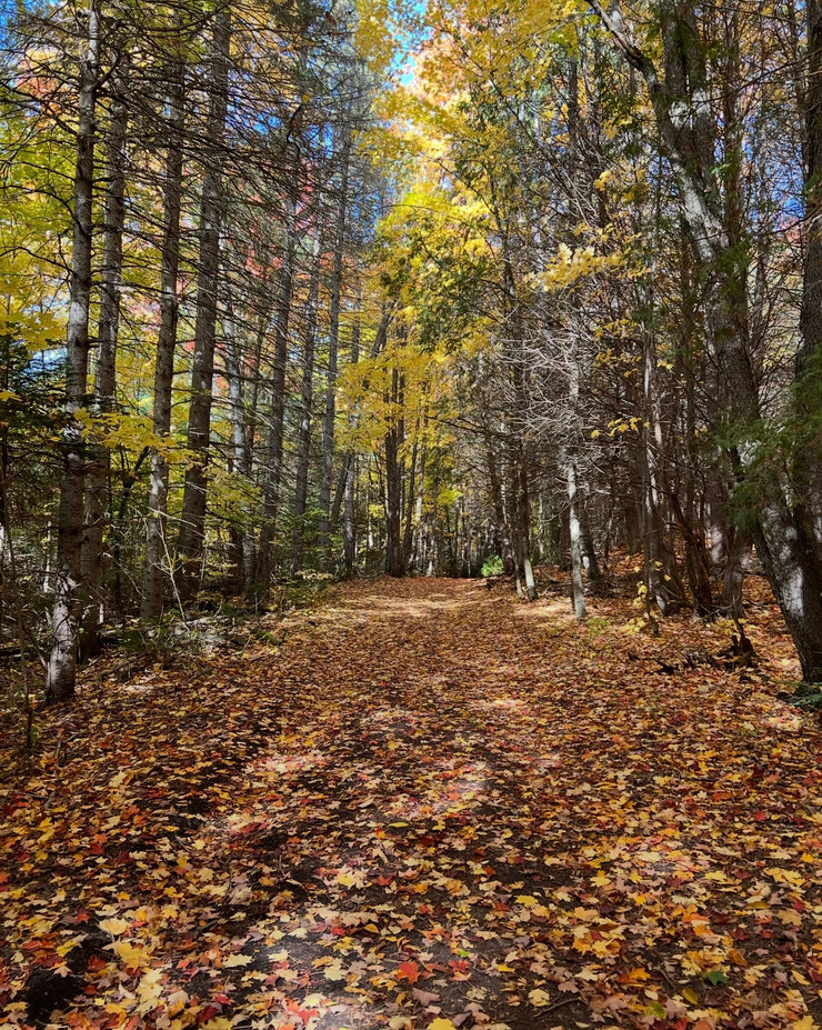 WWL Hiking Day